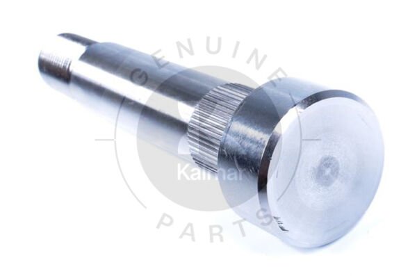 WHEEL BOLT